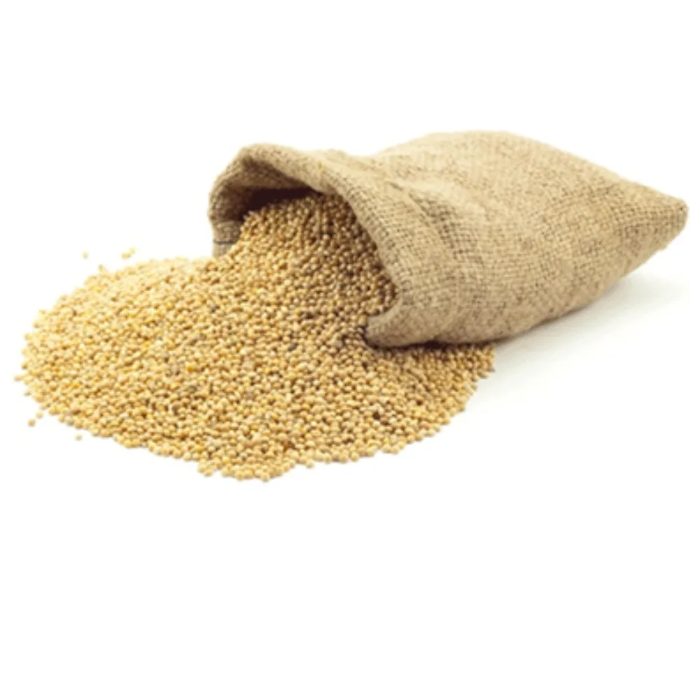 Grain De Mil 500g - Non Précuits grain de mil