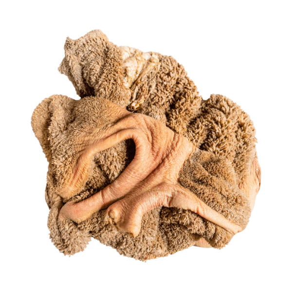 Tripe De Boeuf (Paquet 1kg)