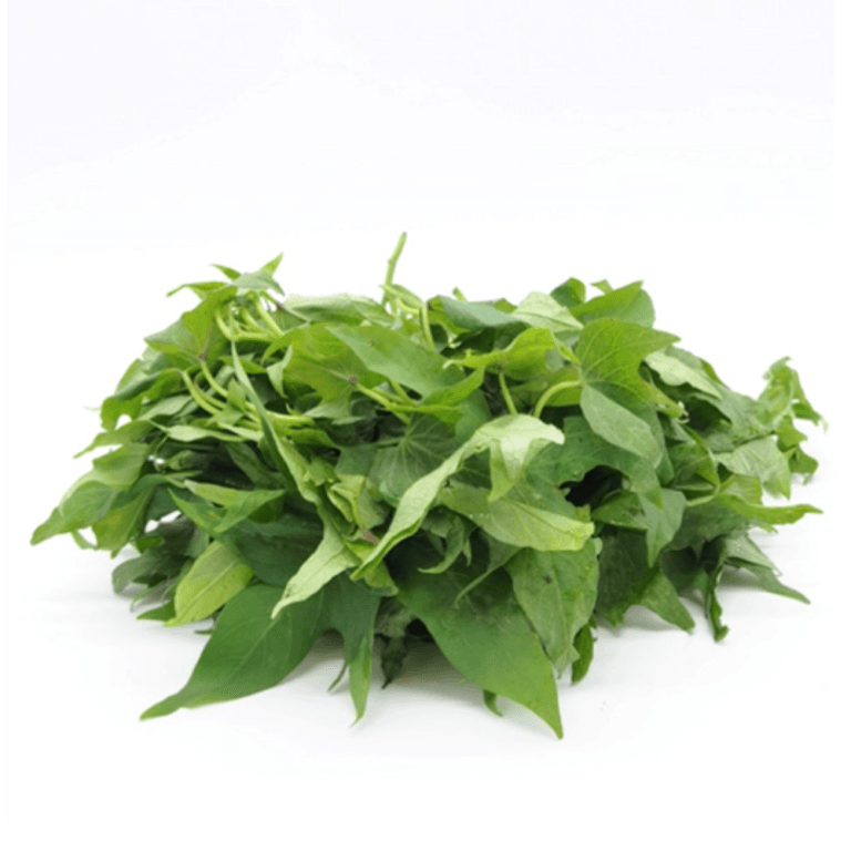 Feuille de patate : découvrez les bienfaits nutritionnels de ce super-aliment oublié feuille de patate