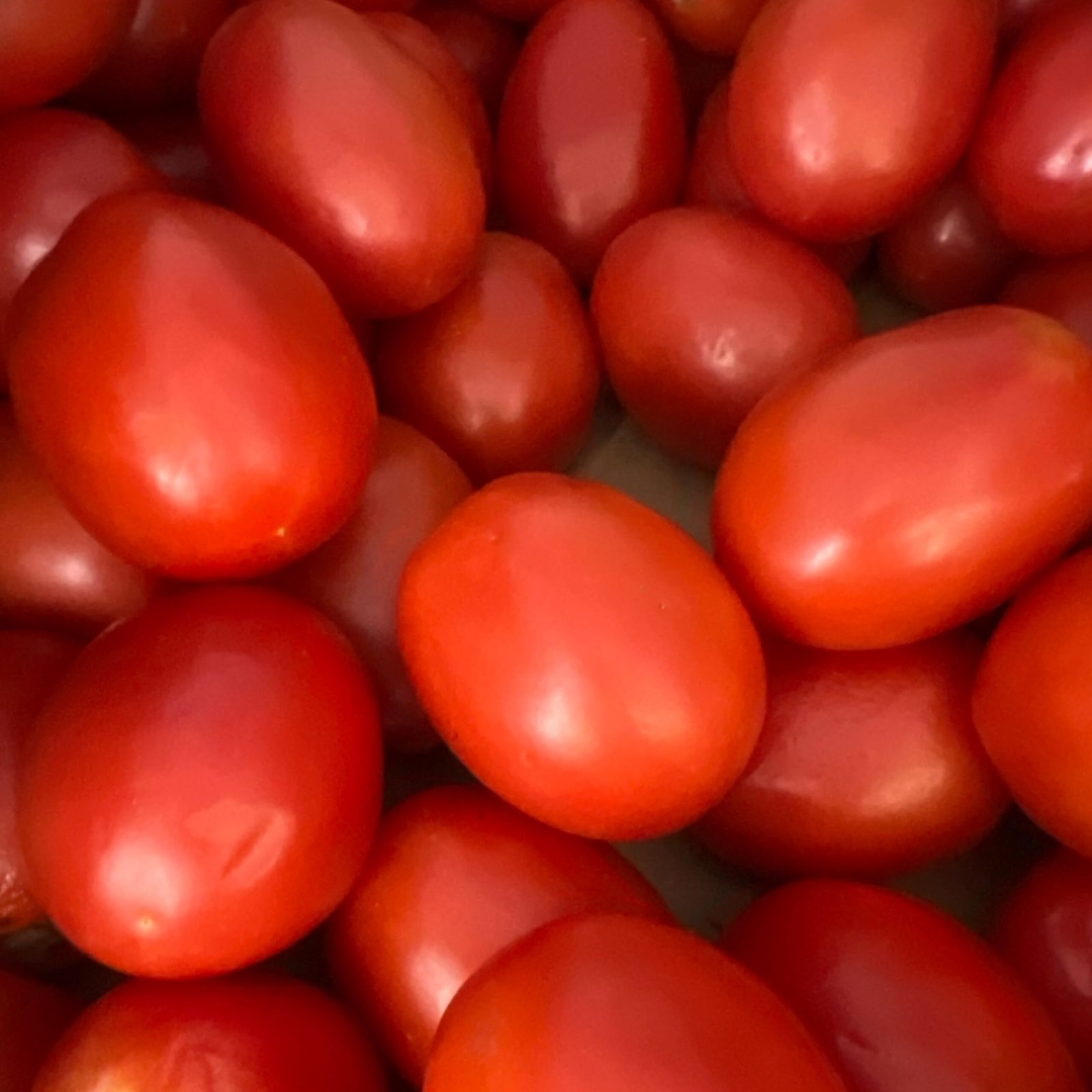 Tomate Fraiche Tomate Fraiche